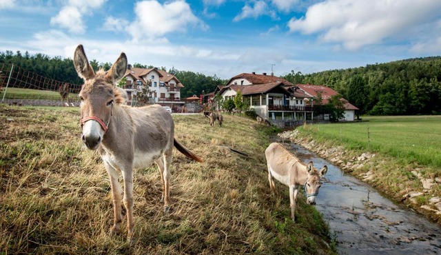 EkoTurizem Hudičevec in Postojna