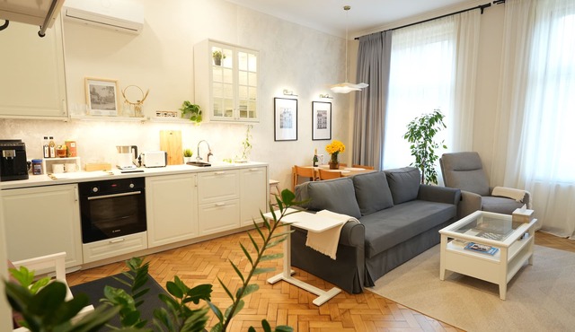 Elegant Apartment in the Historic Center, AC, wifi, Netflix, Quiet area in Sibiu