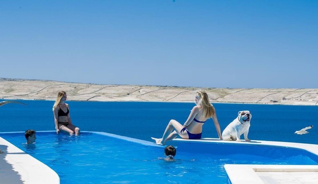 Elite 4Bedroom Suite with Private Infinity Pool
