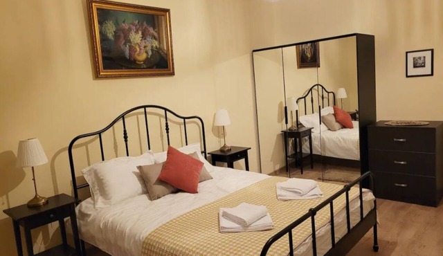 Ema's Vintage Spacious 2 BR Central Apartment with Mountain View in Brașov
