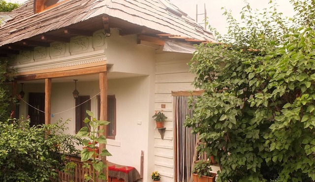 Enchanting Old Traditional House & Garden near Forest close to Curtea de Arges in Valsanesti