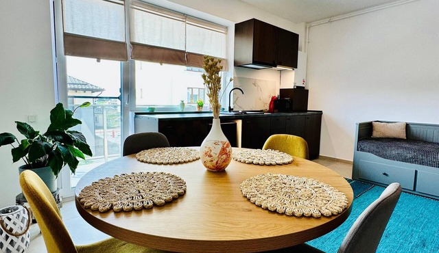 Enchanting studio with AC in charming Otopeni - Tunari in Tunari