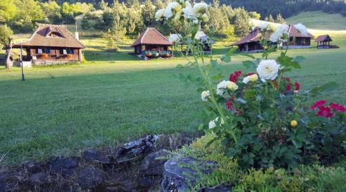 Etno kuće Boškova Voda in Zlatibor