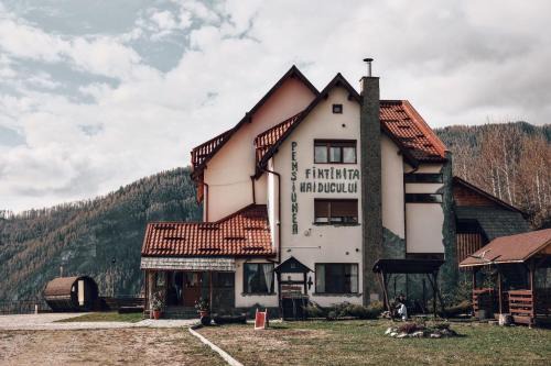 Fântâniţa Haiducului - Refugiu în natură & bucătărie locală in Malaia
