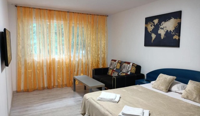 Family Apartment in Băile Herculane