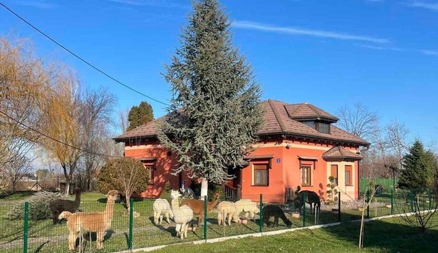 Family-friendly house with hot tub Andrijaševci, Slavonija (K-24939)