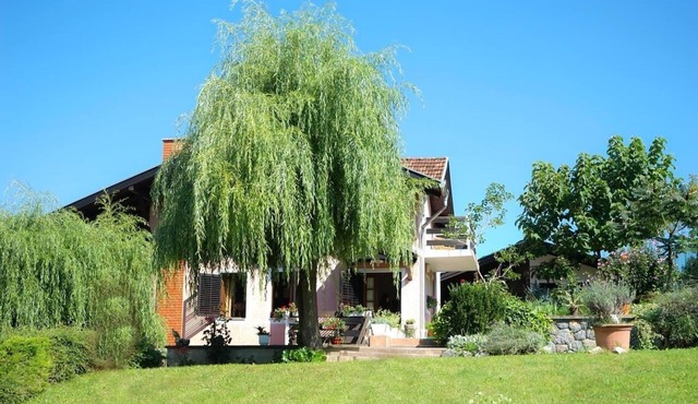 Family friendly house with a parking space Daruvar, Bjelovarska (K-14920)