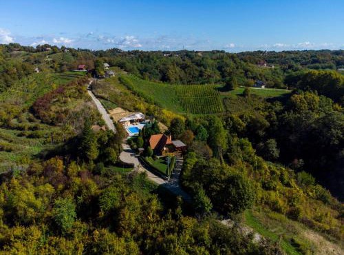 Family friendly house with a swimming pool Gornja Voca, Zagorje - 11873
