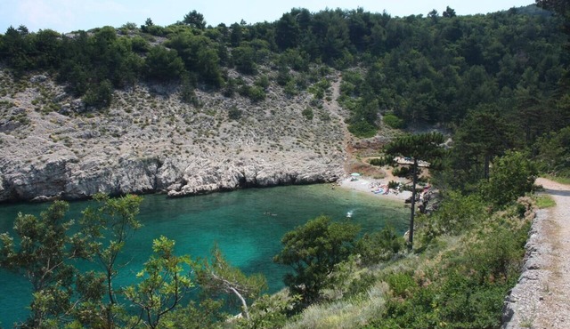 Family friendly house with a swimming pool Garica, Krk (K-19507)