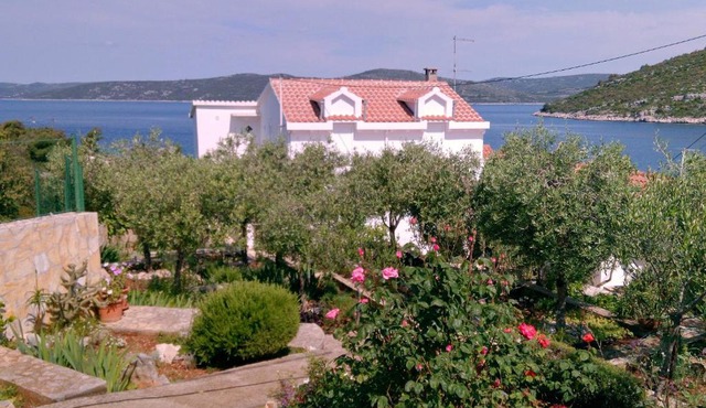 Family friendly seaside apartments Drvenik Veliki, Drvenik - 11832