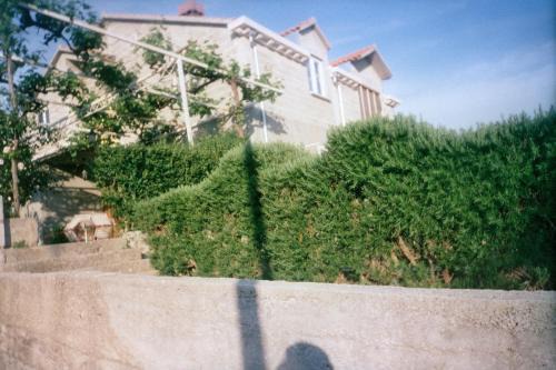 Family House Lise in Mlini