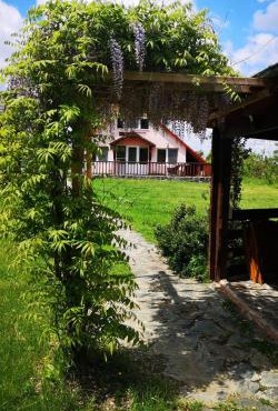 Family Mountain Cottage in Cartisoara