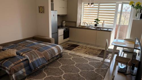 Fantastic Cozy Studio in Brasov