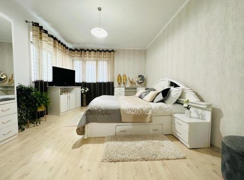 Flamingo House in Reghin