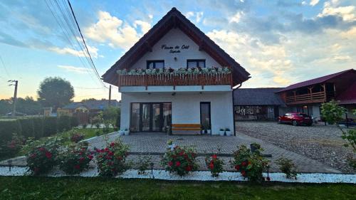 Floare de Colt Sapanta in Săpânța