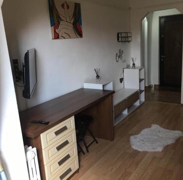Florina's Apartment in Oradea