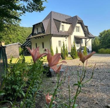 Flow House in Satu Mare