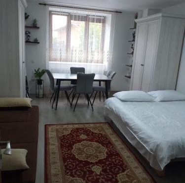 Fully Furnished Studio in Sighetu Marmaţiei