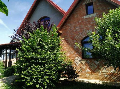Garden House in Ciorogarla