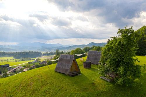 Glamping - Ekološka kmetija Kozman in Žalec