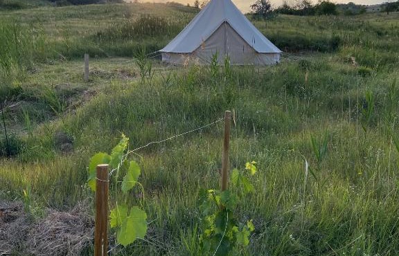 Glamping Orange Valley in Izvoranu