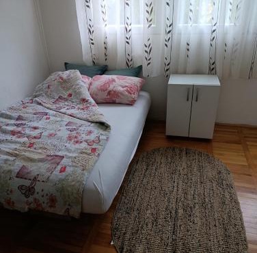 Gray in Valjevo