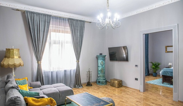 Grey Symphony - Charming vintage apartment with AC in downtown of Timisoara in Timisoara