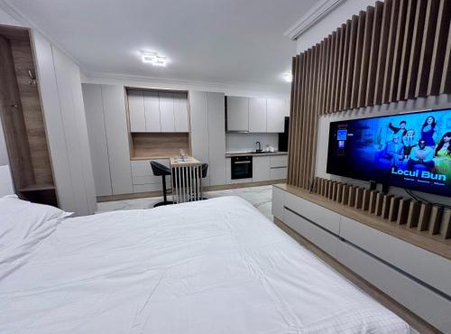 Ground Floor Studio in Timisoara