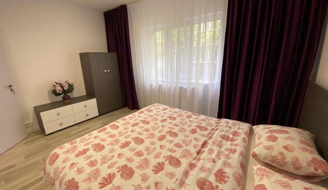 Grove Apartment in Buzău
