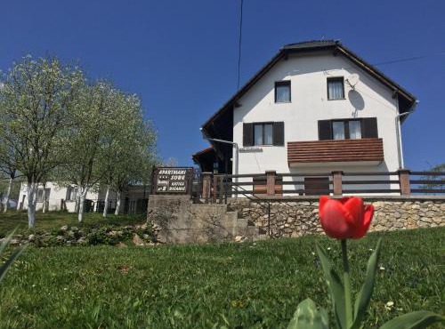 Guest House Aurora in Poljanak