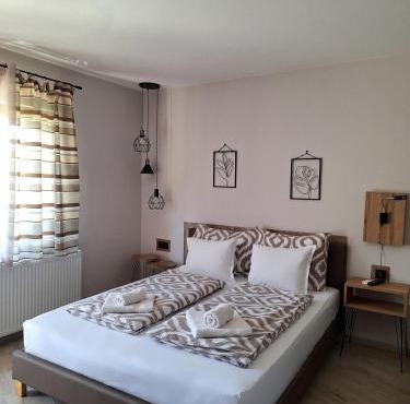Guest House Dimitrije in Niška Banja