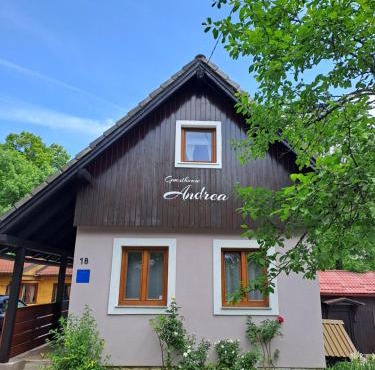 Guesthouse Andrea in Poljanak