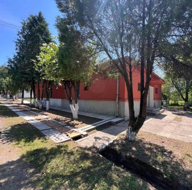 Gurasada Park Hostel in Gurasada