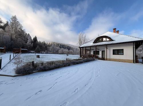 Hașca Chalet in Manastirea Humorului