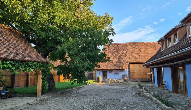 Haus Rether - Transylvanian Guesthouse in Bunesti