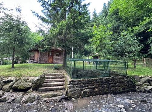 Hiška ob potočku in Ljubno
