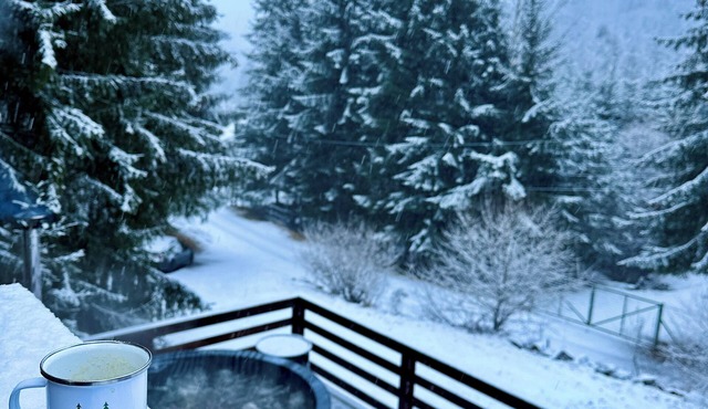 Hill House SD,a charming mountain retreat located in the scenic town of Toplita! in Toplita