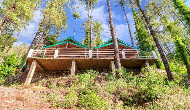 Hillside Hideaway 2 Cottage in Pangoot