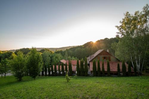 Hilltop The House Filia in Bradut