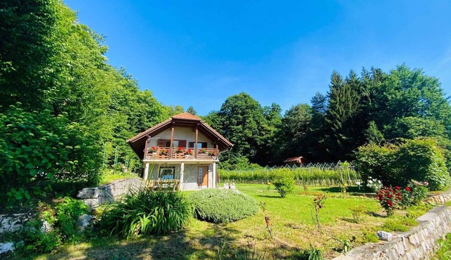 Holiday apartment in the vineyards and forests, renovated in December 2023 in Crnomelj
