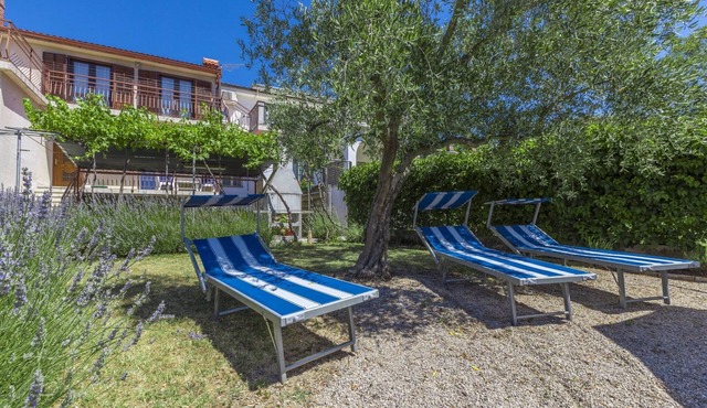 Holiday apartment with air conditioning