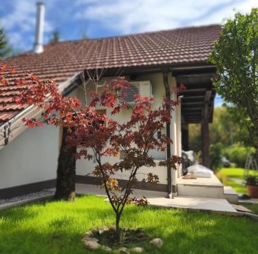 Holiday Cabin near Ljubljana - Hawknest in Ig