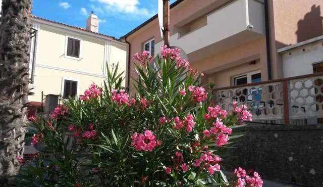 Holiday flat with air conditioning