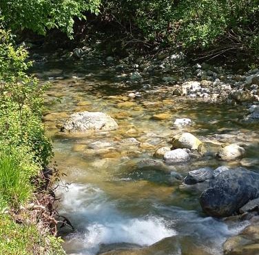Holiday home Bjelica