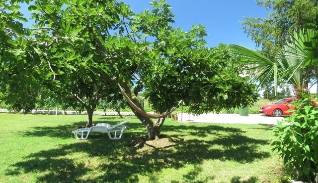 Holiday Home in Ljubač with Seaview, Terrace, Air condition, WIFI (4851-1)