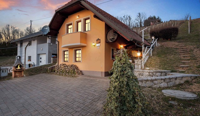 Holiday home in the vineyards in Škocjan