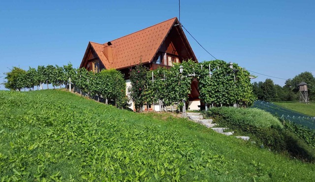 Holiday home on vineyard in Mirna Pec