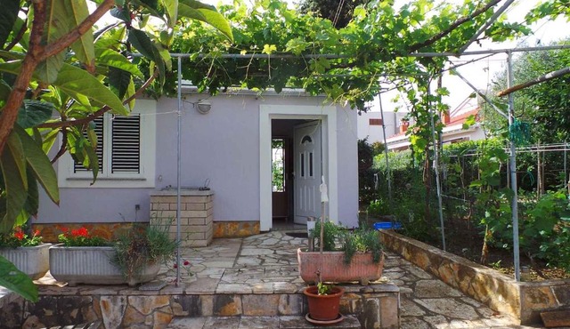 Holiday home Petrcane/Zadar Riviera 7877