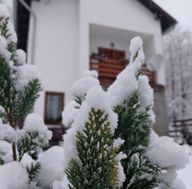 Holiday home Tilia