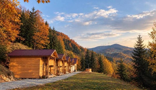 Holiday homes in Romania in Avram Iancu